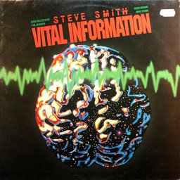 33_steve_smith-vital_information