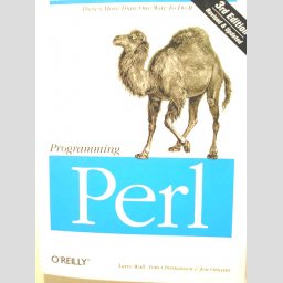 10_perl