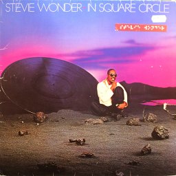 29_stevie_wonder-in_square_circle